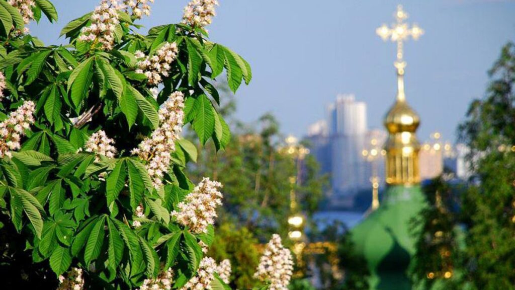 Kyiv is the city of chestnuts